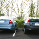 Illustration for article titled Hybrid Car Wars: Honda Insight Vs. Ford Fusion Hybrid